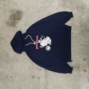Cartoon/Anime Hoodie